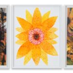 María Magdalena Campos-Pons, Farrar’s garden to 2,24,8 cm, 2019/20, mixed media on archive watercolor paper triptych: 75 x 100 cm each - csy the artist and Galleria Giampaolo Abbondio photo-credits: Antonio Maniscalco