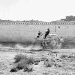 Cavaliere della Mancia, 1956 © Piergiorgio Branzi