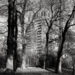 Matteo Cirenei, #19010216, Torre Baselli, Milano, 2019, Fotografia analogica, stampa Fine-art Giclée da scansione, 40x80cm, 1/9 + 2 PdA, Courtesy: dell’artista
