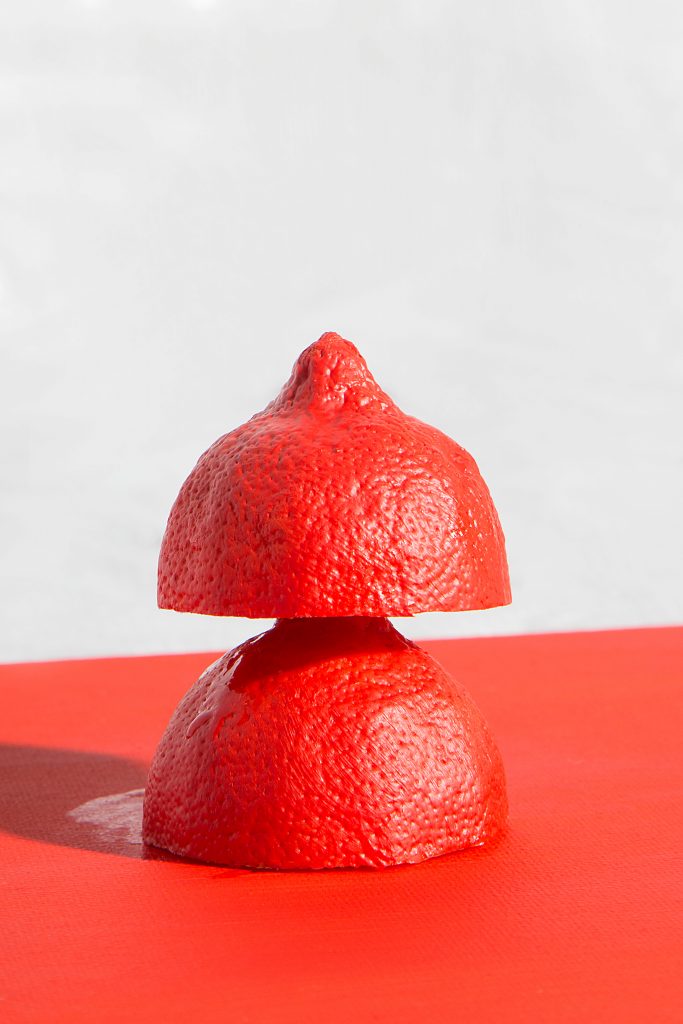 Larissa Ambachtsheer, Red Lemon, 2017, fine art print, Courtesy Project 2.0 / Gallery Den Haag